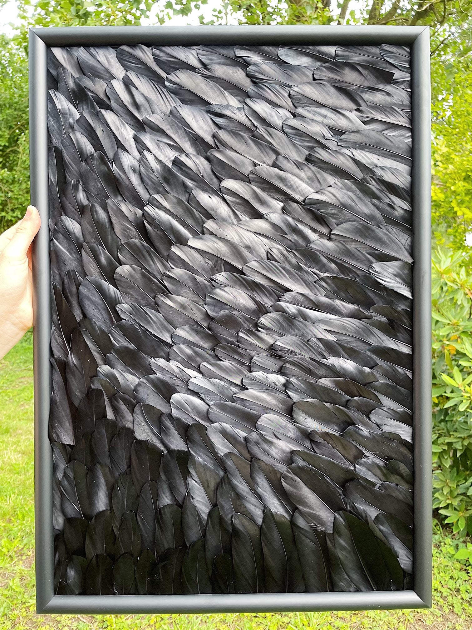 Tableau mural en plumes naturelles noires 60x40 – Cadre bois noir sans verre – Décoration murale moderne