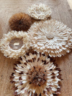 Composition murale DUNE SAUVAGE – Ensemble de 5 Juju Hats en plumes naturelles et raphia – Déco murale bohème artisanale
