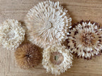 Composition murale DUNE SAUVAGE – Ensemble de 5 Juju Hats en plumes naturelles et raphia – Déco murale bohème artisanale
